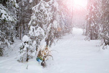 Winter landscape on a frosty day