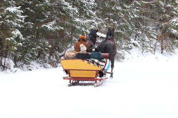 A horse pulls a sleigh with people along a snow-covered road of a winter pine forest. Retro...