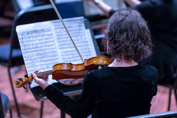 Symphony String Player, Reading Music © Mark