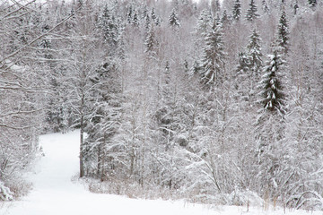 Winter landscape on a frosty day
