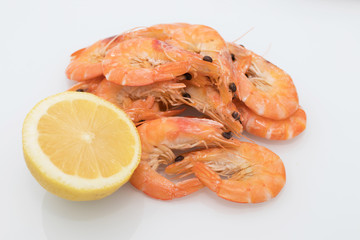 cooked prawns isolated in white background