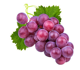 Fresh purple grapes isolated on white background with clipping pass