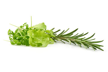 Parsley with Lettuce and rosemary, isolated on white background. Summer greens. Close-up