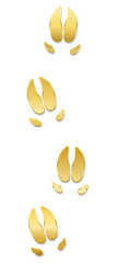 Pig tracks, golden footprints. Luck symbol concerning chinese year of the pig - isolated icon vector illustration on white background.
