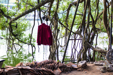 Jacke in den Mangroven