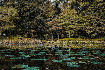 .Tourism in the temples and gardens of Kyoto in Japan. Travel photography. Nature.