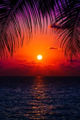 Fotobehang palmbomen en geweldige bewolkte lucht bij zonsondergang © EwaStudio