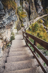 Fototapeta na wymiar Stairs in the Mountain Forest