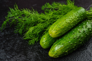 Fresh green cucumber  on black background