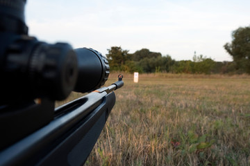 Shooting with an airgun