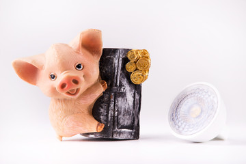 Led lamps and piggy bank lie on a white background