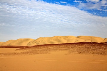 The desert in Paracas in Peru. Sun sea and sand