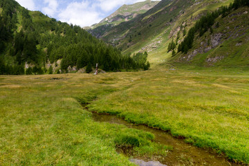 Fototapeta premium Valle Maggia (Canton Ticino, Svizzera)