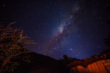 The milky way. stars in the night sky