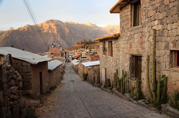 Fototapeta na wymiar Peruvian animals, houses, country landscape, colca Canyon