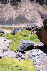 Landscape in Peru, wildlife in Latin america