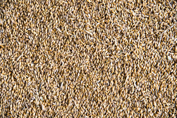 grains, cereal top view close up
