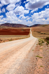 Landscape in Peru, wildlife in Latin america