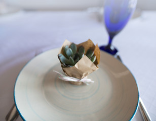 a small succulent
flowerpot  on the plate
stylish decor of the festive table
 wedding table design