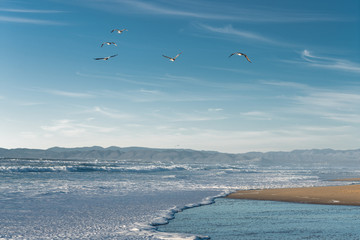 Flock of pelicans flying over the sea, blue water and beautiful cloudy blue sky, Californian beach