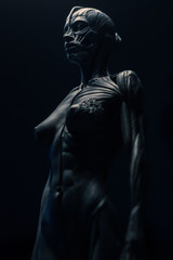 Fototapeta na wymiar statue of a woman, muscles anatomy