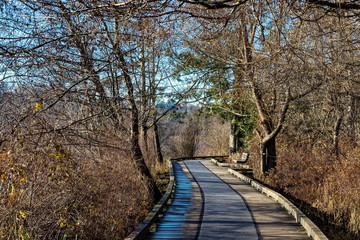Wooden hiking trail through the forest and park bench in late autumn