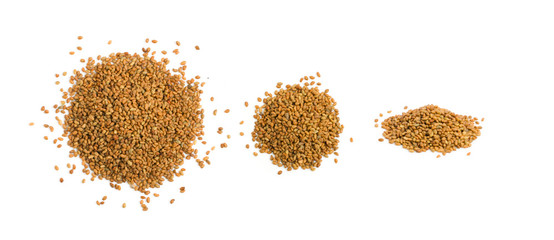 Dried organic alfalfa seeds or dry medicago sativa isolated - obrazy, fototapety, plakaty