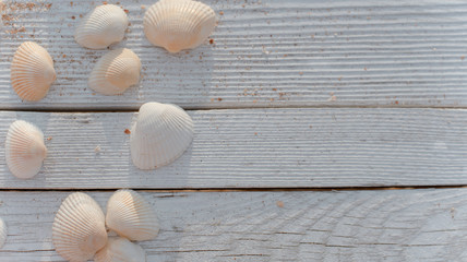 Fototapeta na wymiar Seashells and some sand on wooden boards painted in white paint.