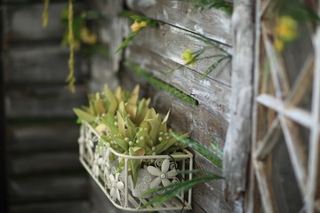 floral arrangement of potted plants and artificial flowers