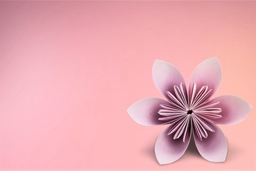 Pink paper origami flower on white background