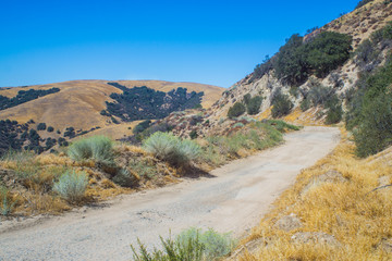 Dirt and Gravel Mountain Road