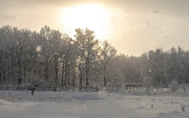 winter landscape during heavy snowfall