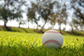 Baseball on grass