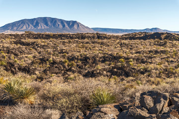 Valley of Fire Lava Flow