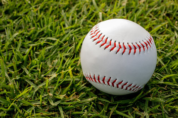 Baseball on grass