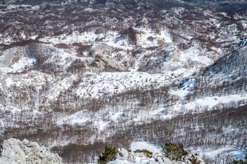 Fototapeta premium Winter landscape of trees and hills in snow