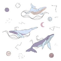 Vector doodle illustration whales and planets. Space with planets and huge marine animals. Universe graphic hand drawn underwater sketch.
