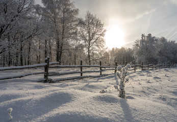winter landscape during heavy snowfall