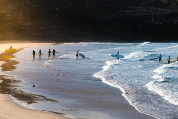 group of young people at beach going surfing