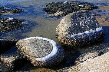 Sea reefs in the natural environment