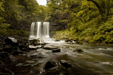 Waterfall scene with green trees / Background image of a waterfall / 