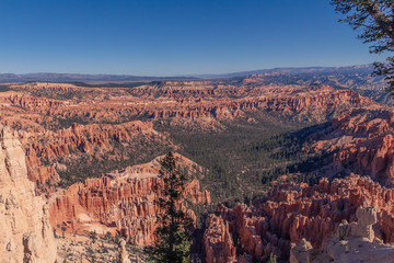 view of bryce canyon in utah usa