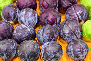 Purple cabbage and green cabbage