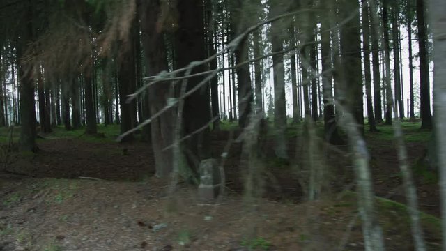 Dire wolf running into the woods