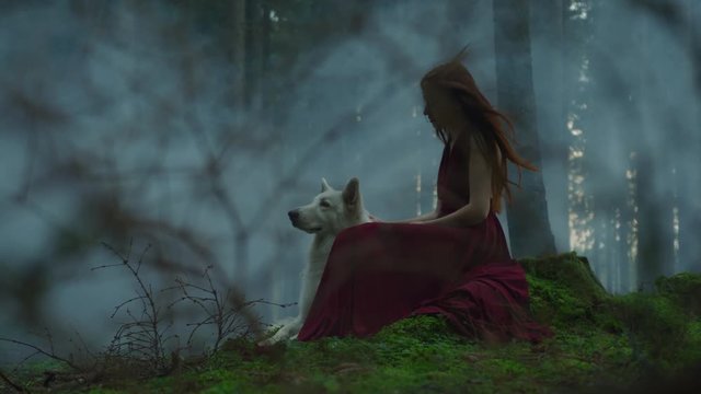 Girl with a dog in a misty forest