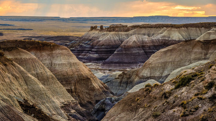 Petrified Forest National Park is in northeastern Arizona. The Rainbow Forest is full of colorful petrified wood. In the park's center are the petroglyphs of Newspaper Rock. 