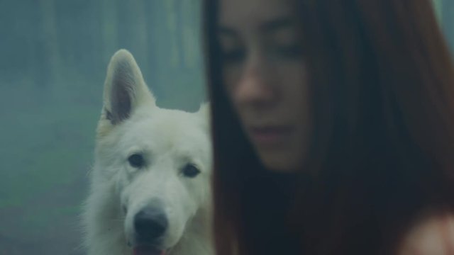 White dog and a girl