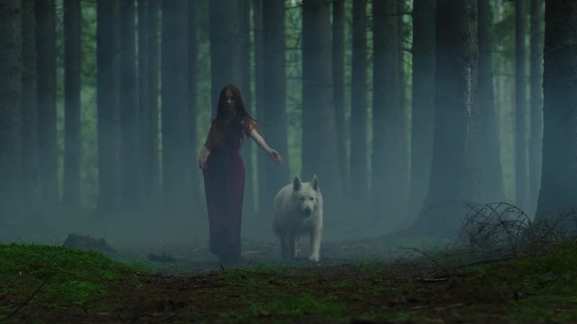 Woman and dog in a misty forest