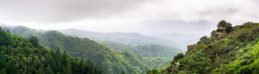 Panoramic view of the green hills and valleys of Santa Cruz mountains on a foggy day, Castle Rock...