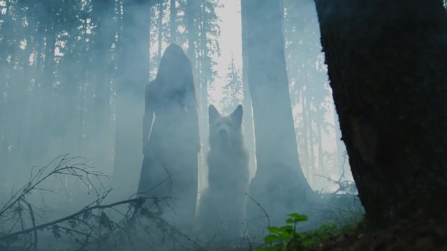 Girl and dog in a misty forest